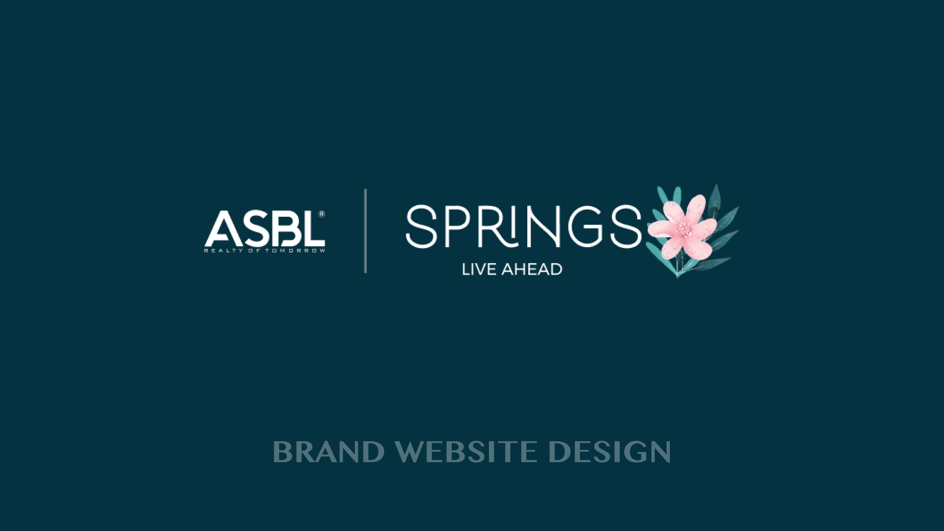 ASBL Springs Project